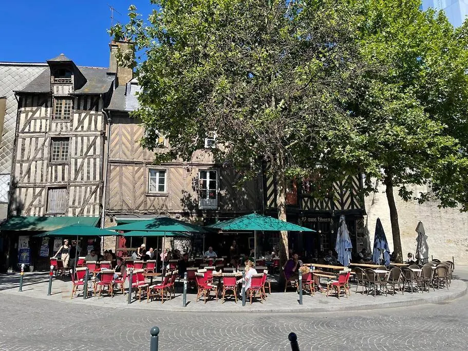 公寓 Appart Theatre St Etienne Wi-Fi Gratuit 雷恩